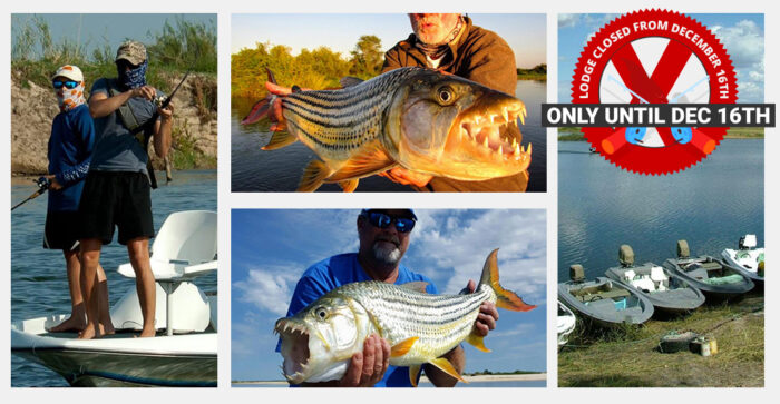 ShackletonsUpper Zambezi, Zambia