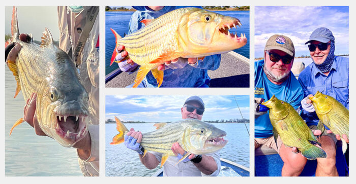 Muchenje River Lodge Katima Mulilo, Namibia