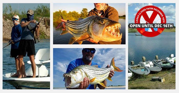 ShackletonsUpper Zambezi, Zambia