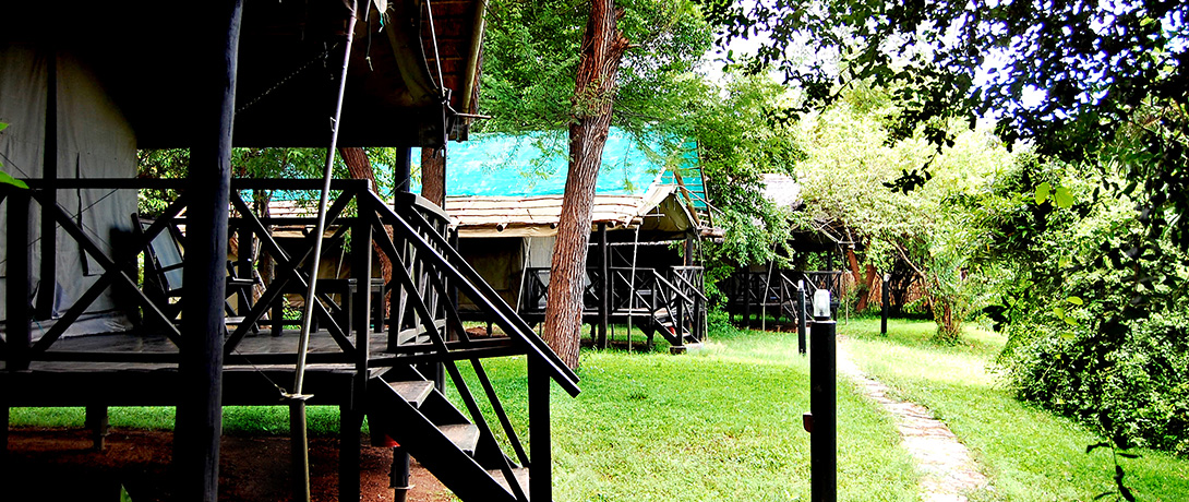 Kiambi Lodge accommodation